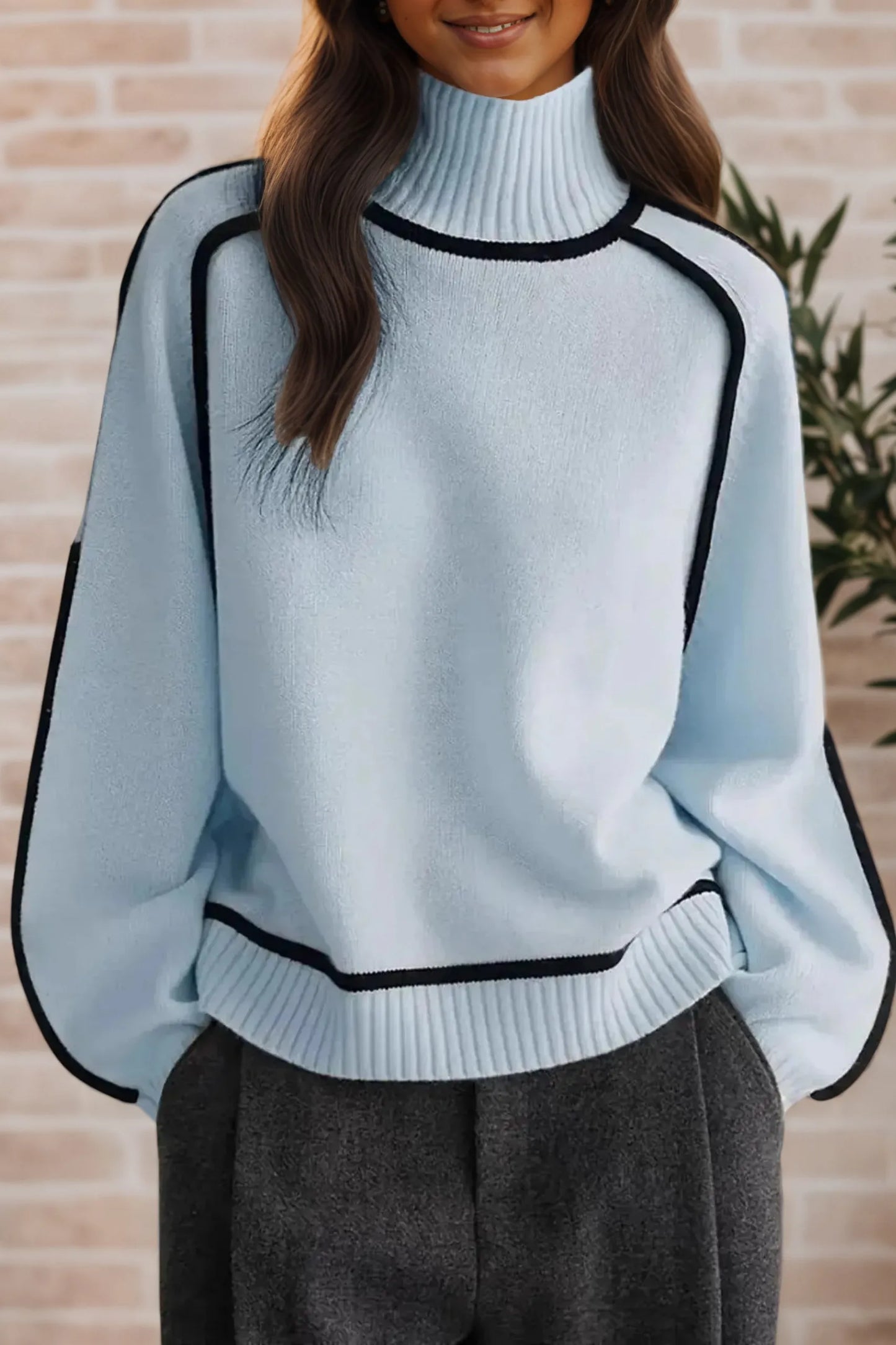 Contrast Trim Turtleneck Sweater