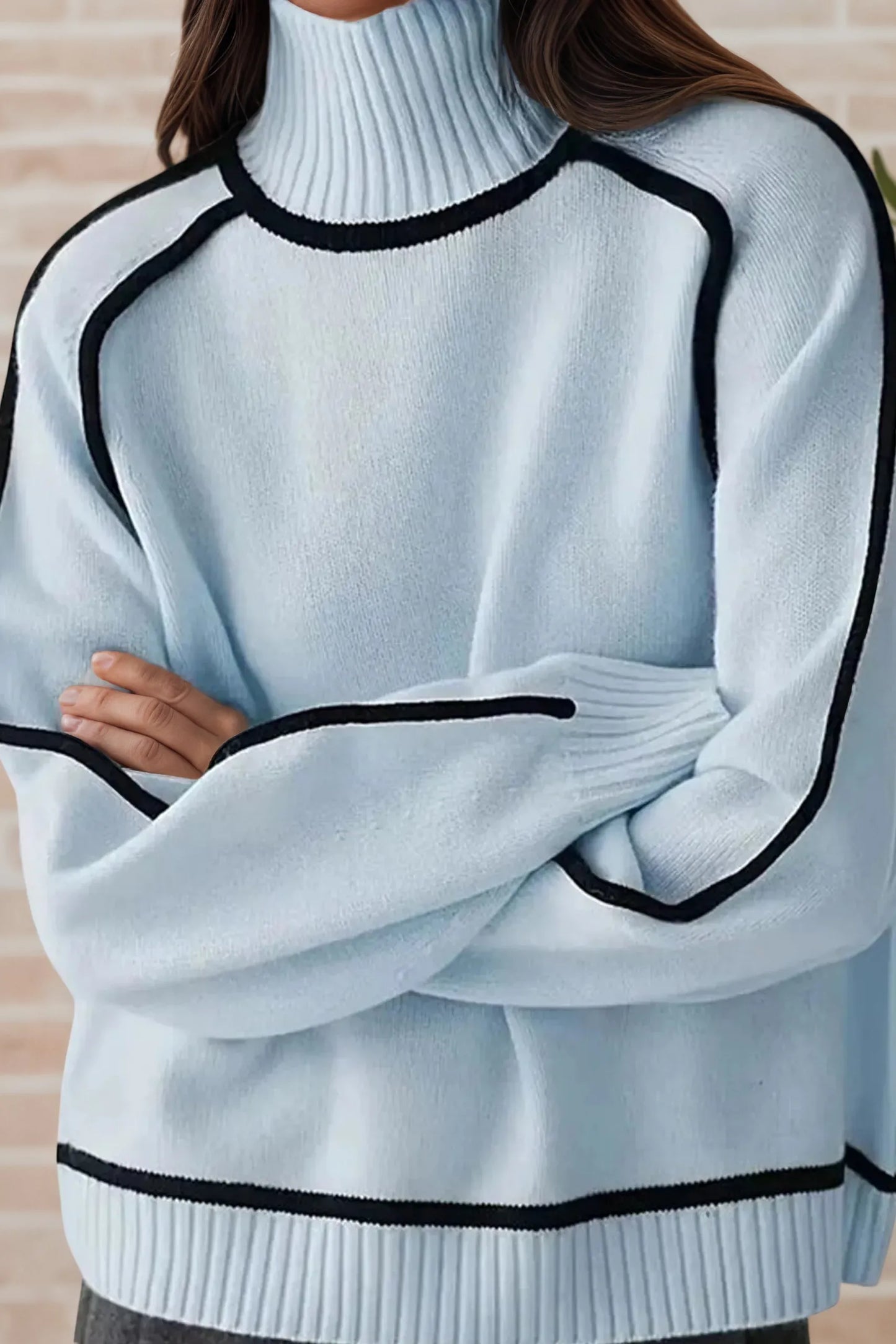 Contrast Trim Turtleneck Sweater